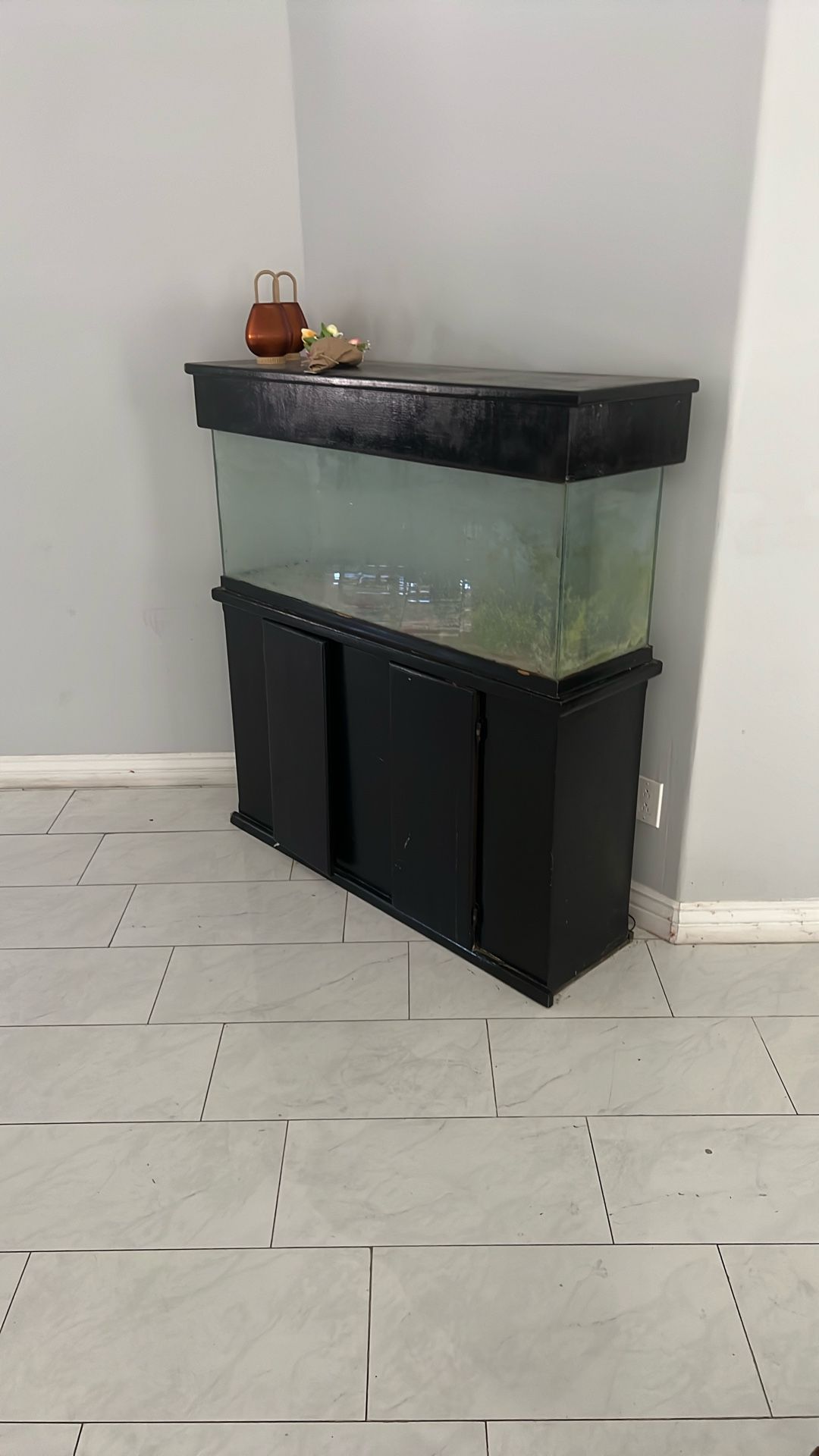 Big Fish Tank 