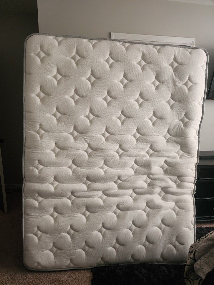 Queen Mattress And Box Spring Like New No Damage Or Spots On It