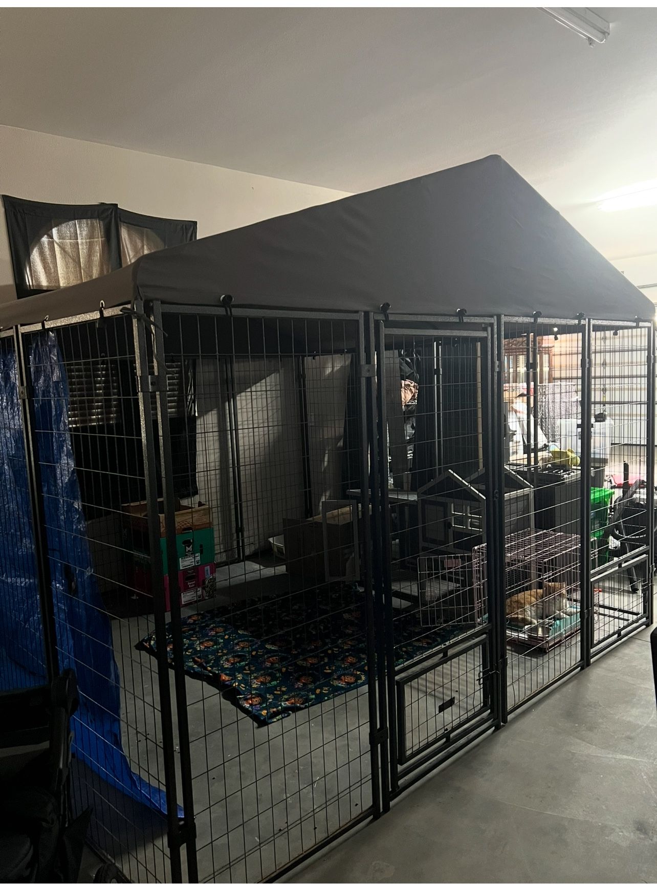 Kennel