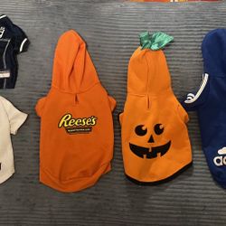 Small Dog Clothes Lot