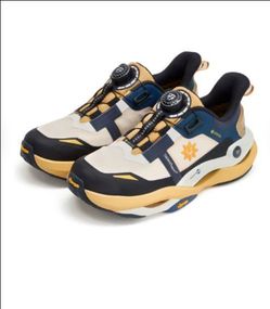 Shoe