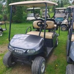 2018 Lithium Ion Electric Carts-2 Color Choices