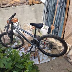 Schwinn mountain bike