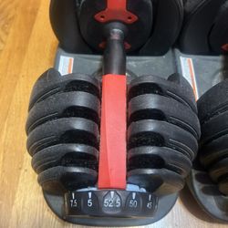Adjustable dumbbells (5-52.5)