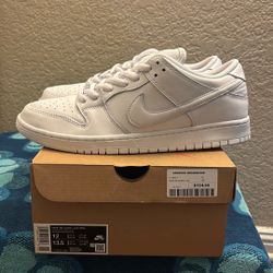 DS NIKE SB 