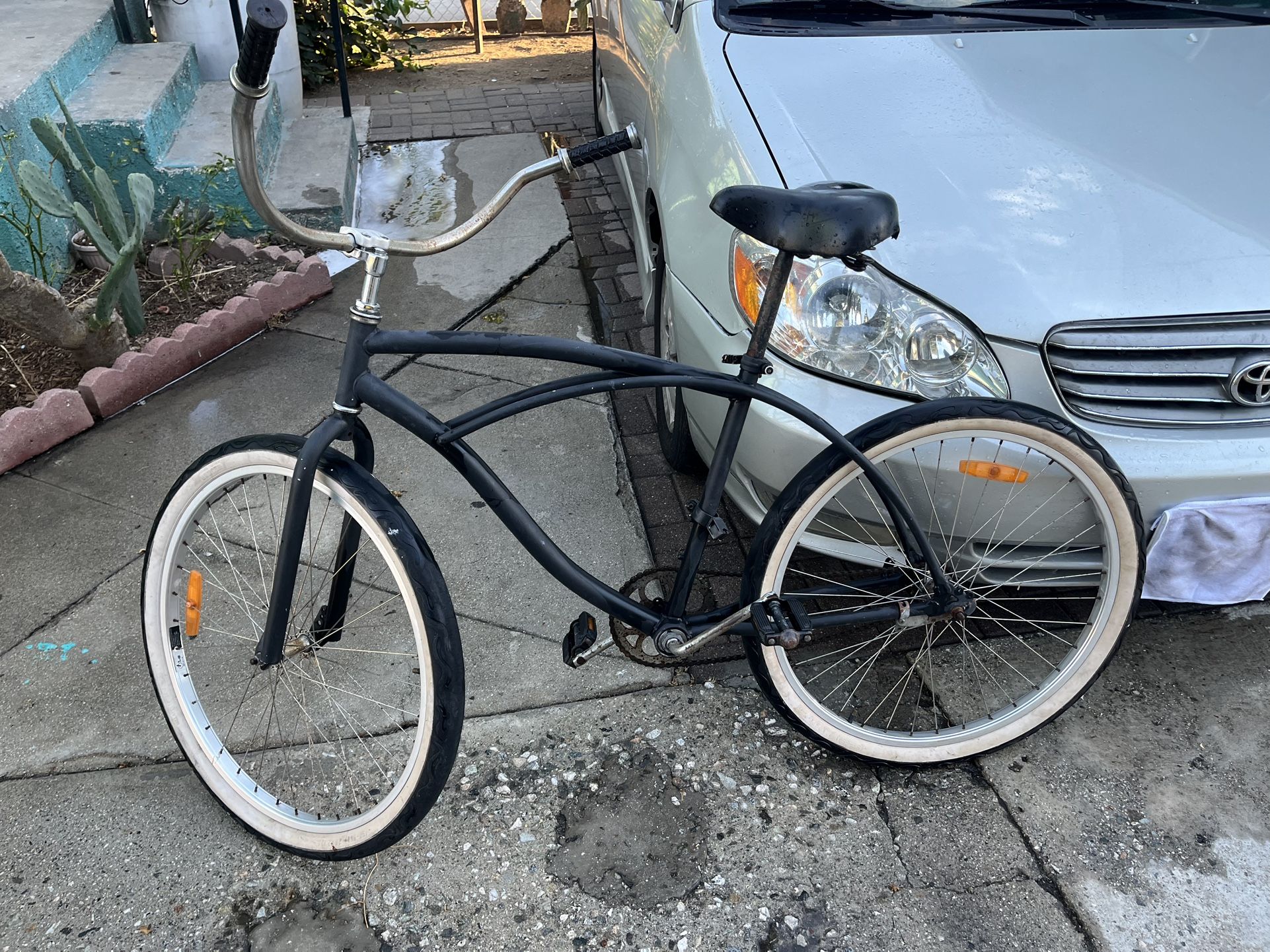 Beach Cruiser