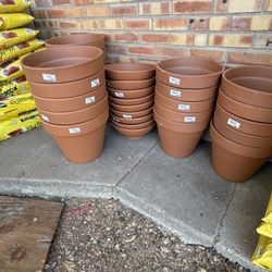 Pots / Masetas