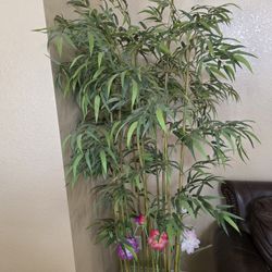 Bamboo Display Tree. 6 Feet Plus Tall.