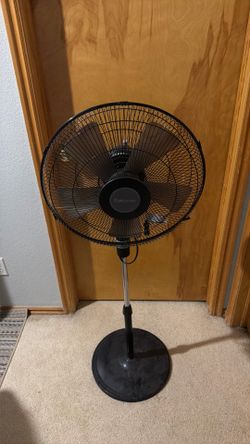 Fan