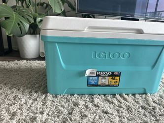 Igloo Cooler