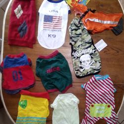 Doggy Outfit Bundle (M)