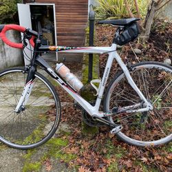 56 cm All Carbon GT campagnollo Components