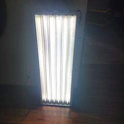 Sun Blaze T5 HO 46 - 4 ft 6 Lamp - 120 Volt