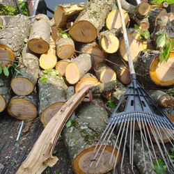 Firewood 