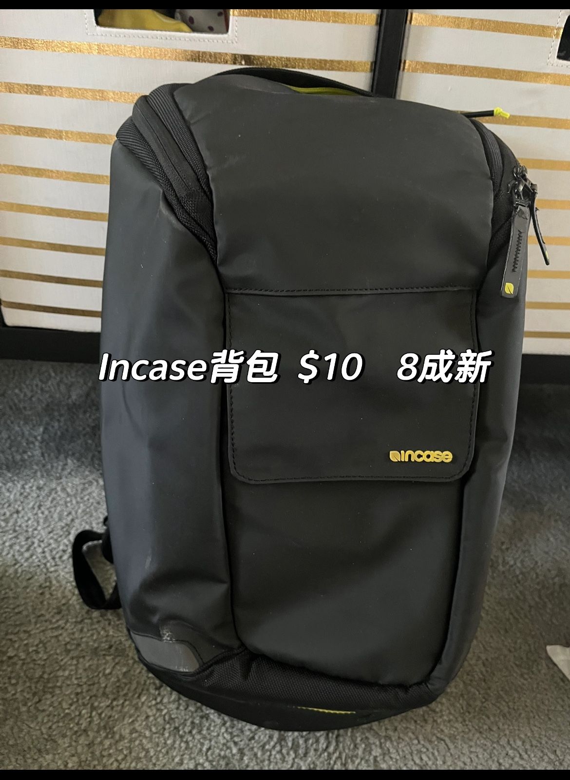 Incase Backpack