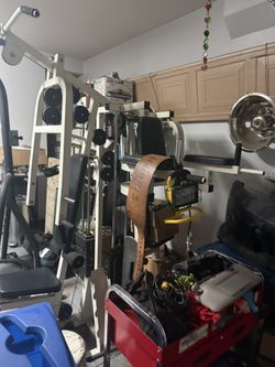 More Gym Equipment( Whole Body Workout)