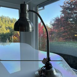 Fully Adjustable Lamp 