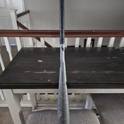 Louisville Slugger Bat