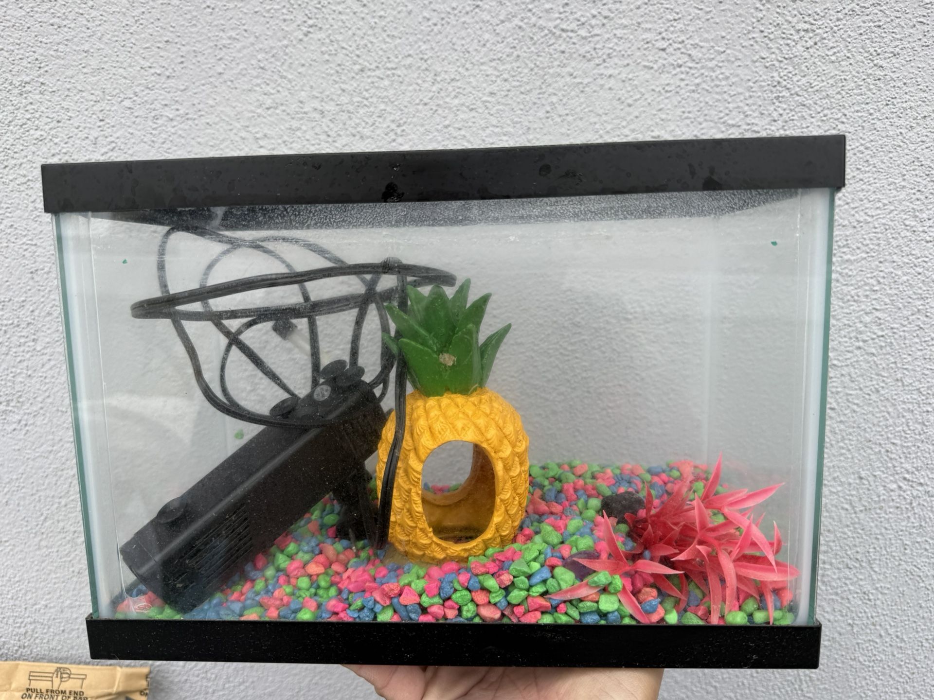 Aquarium With Pump