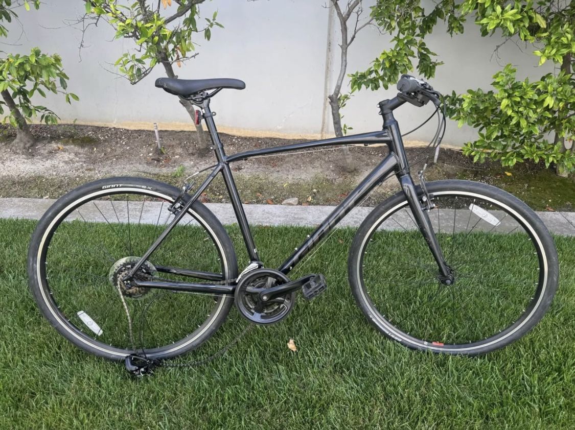 Giant Escape Bike