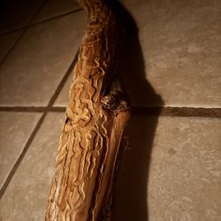 Wormwood | Aquarium | Terrarium | Decor | Woodwork