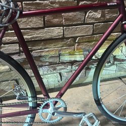 Brilliant Astor Bicycle