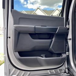 F-150 Door Panel