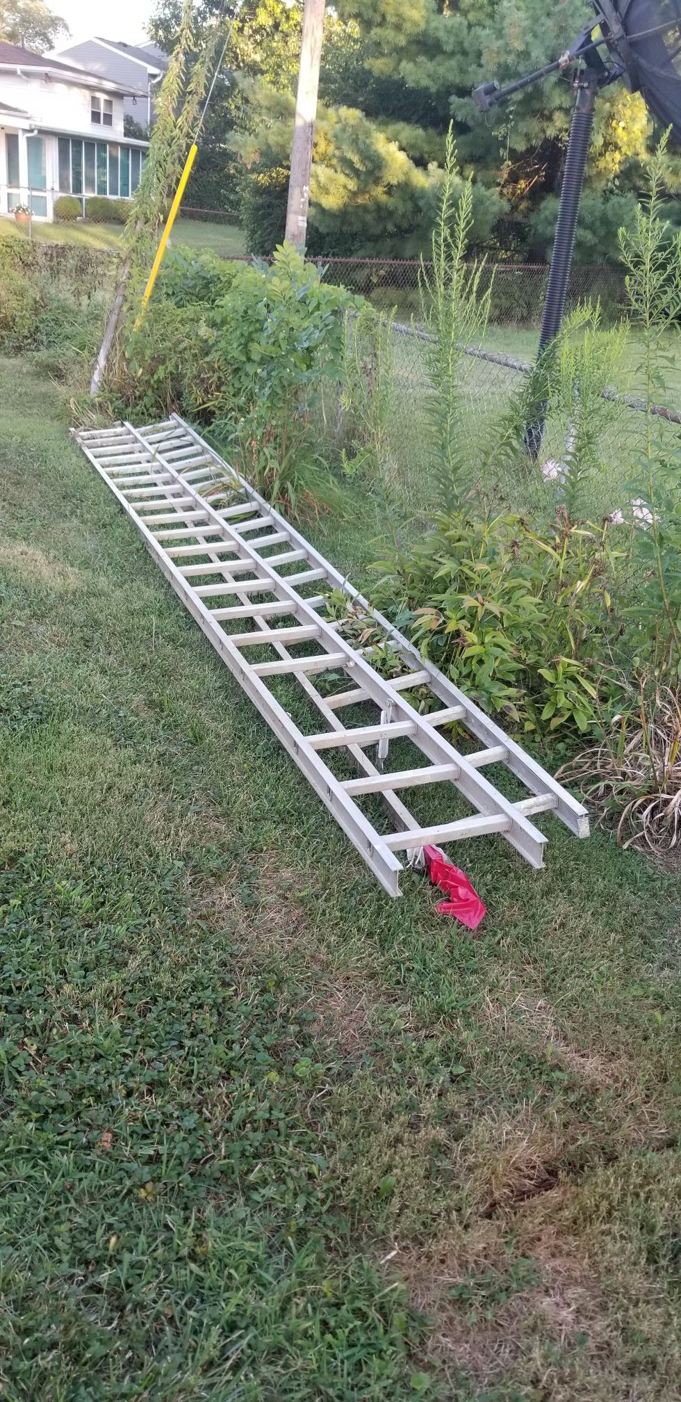 Aluminum 40 ft ladder