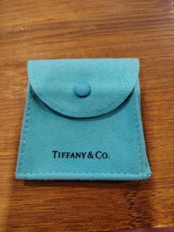 Tiffany Suede Pouch