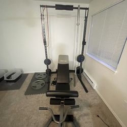 Home Gym Setup