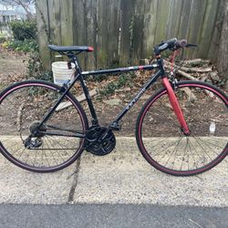 PERFECT COMMUTER 🏙️ Alton Roadmaster R21 Hybrid - Fast & Light! 🕊️