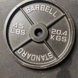 45 Pound Weight Plate Pair