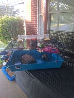 Rabbit and hamster cages