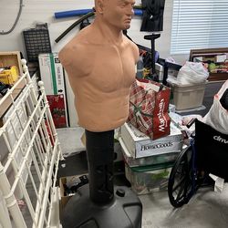 UFC Punching Bag