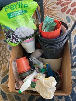 Plants w/ Plant Stand