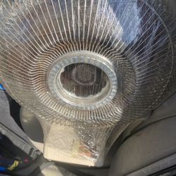 Fan