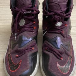 Nike lebron james athletic shoes Size 7Y