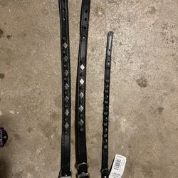 Leather Spike Dog Collars