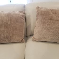 Set Of 2 Cushions . Size: 20 " By 20"