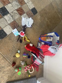 Cat-scratcher/bed/clothes/toys:water fountain ..