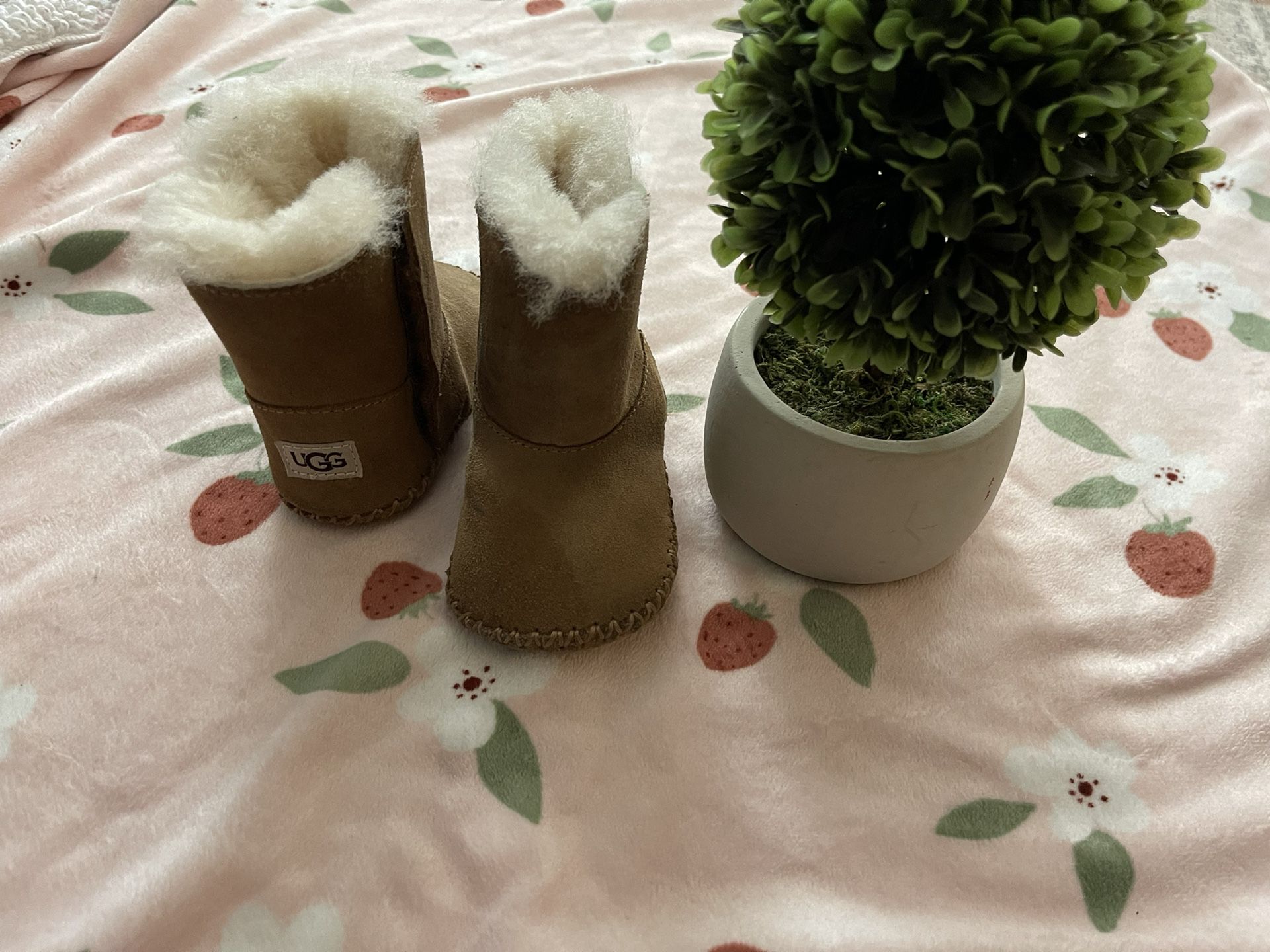 Uggs  Baby Boots 