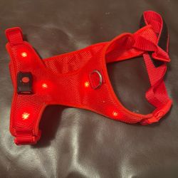 Dog Christmas Hardees