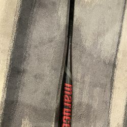 Marucci Cat9 Bat 31/23 -8