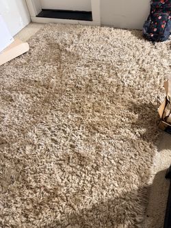Rug