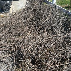 Free Grapevine, Pruning For Craft Projects