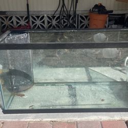 90 gallon aquarium tank