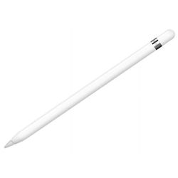 Apple Pencil 1st Generation + Gray Belkin Carrying Case
