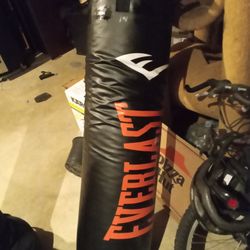 Everlast 100lb Heavybag+15lbs DBall
