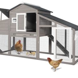 Chicken Coop 
