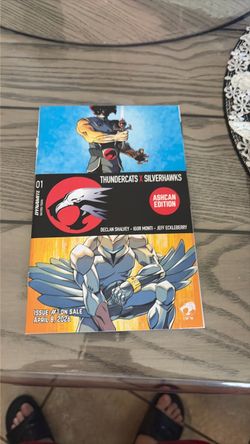THUNDERCATS X SLIVERHAWKS #01